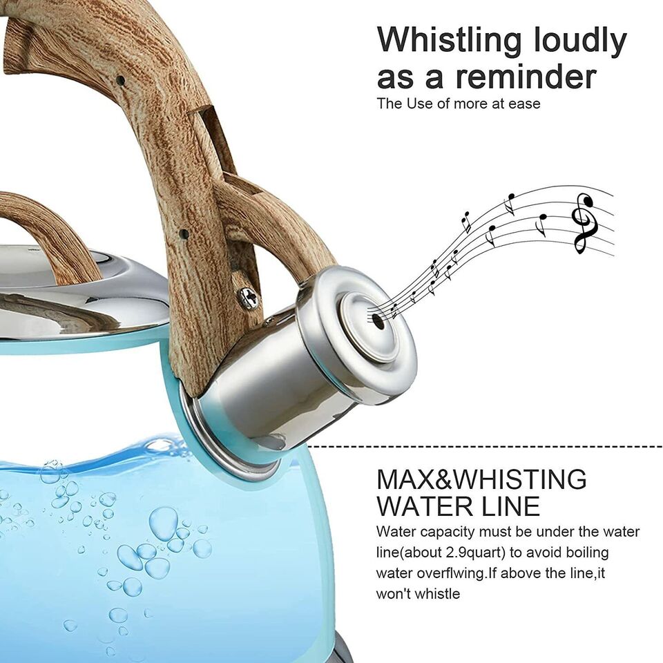 2.9L Whistling Kettle