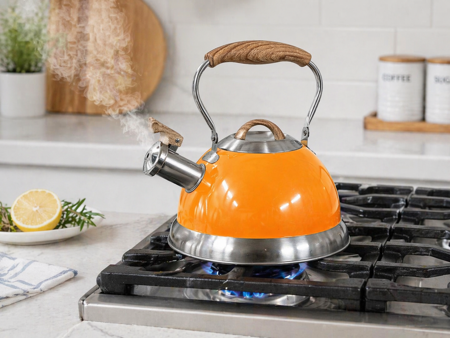 Whistling Kettle 2.8L