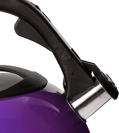 2.6L Stainless Steel Whistling Kettle