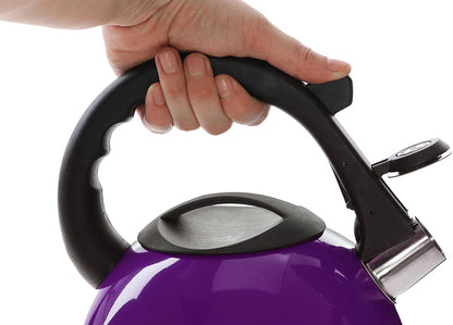 2.6L Stainless Steel Whistling Kettle